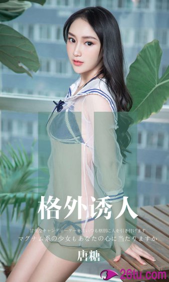 新垣结衣与星野源结婚